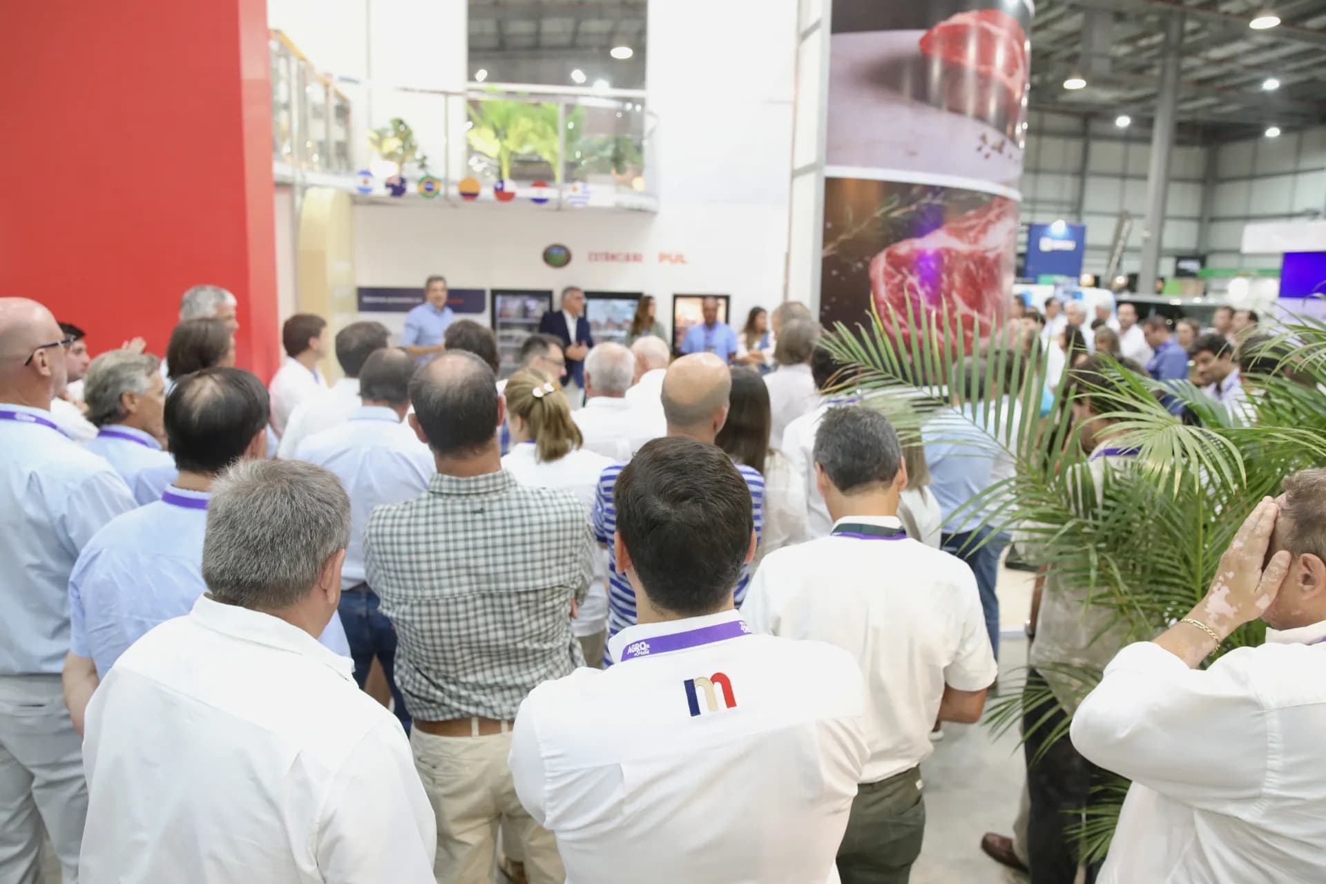 Expo & Business