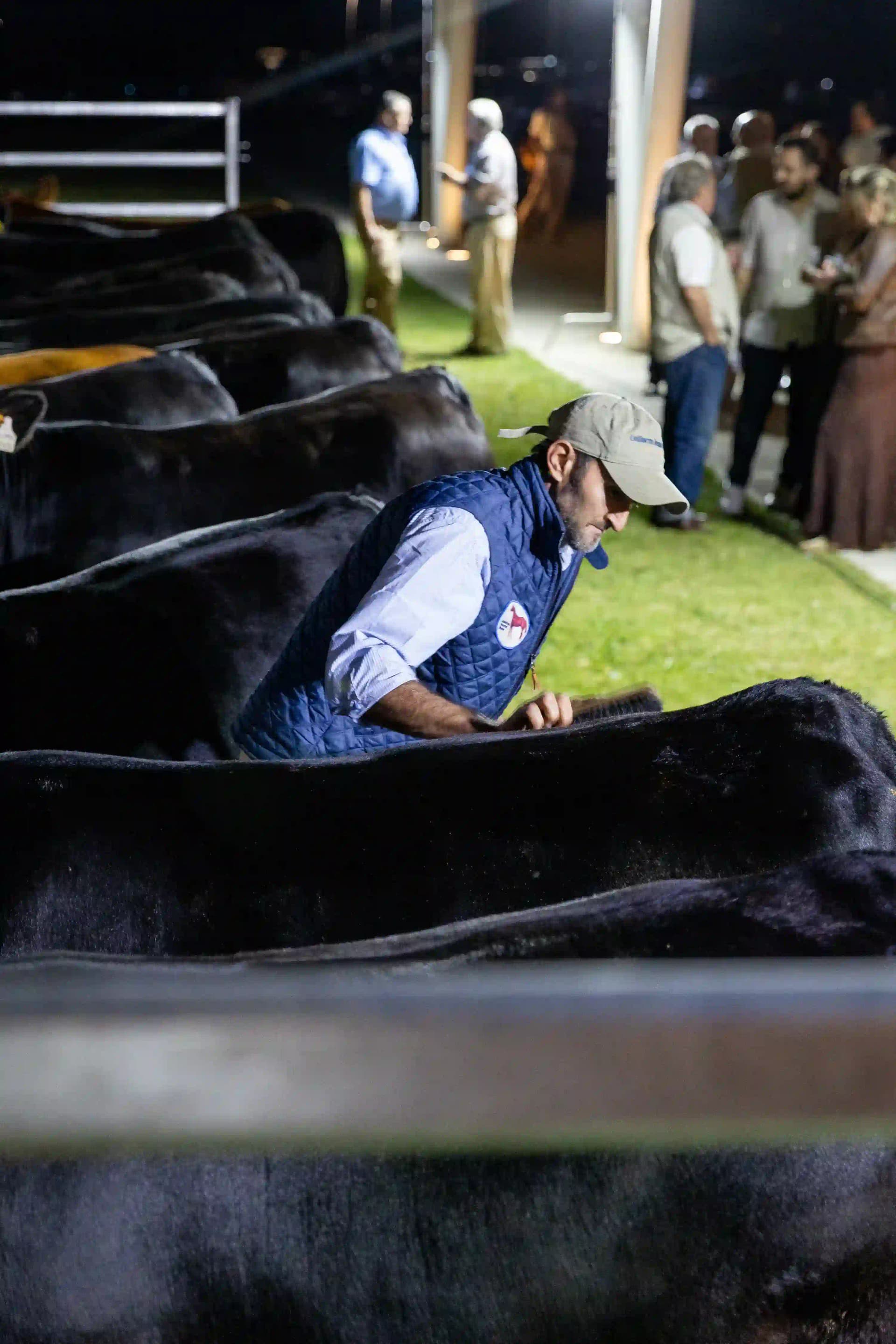Fotografía AgroEnPunta