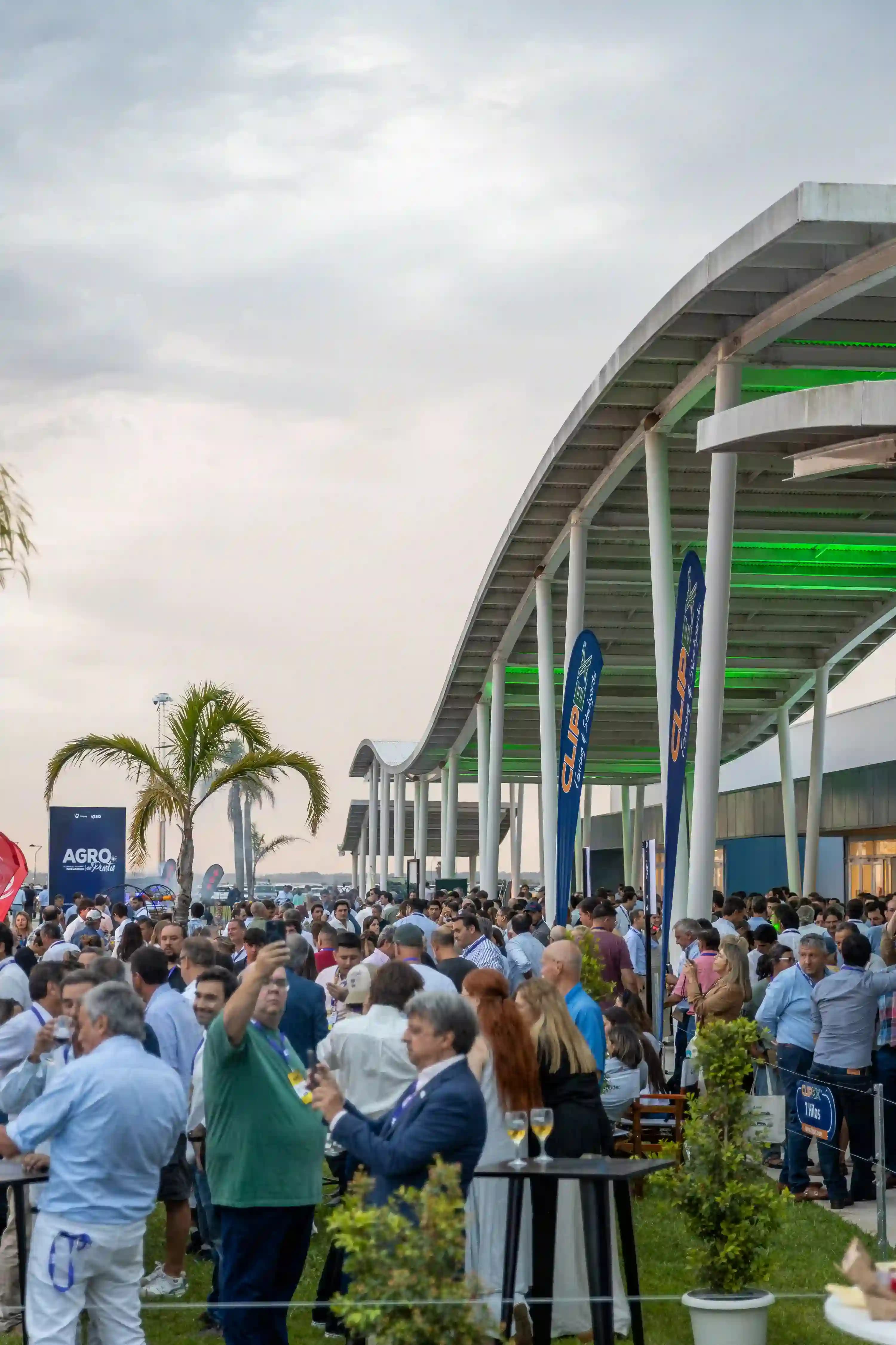 Atardecer AgroEnPunta 2026