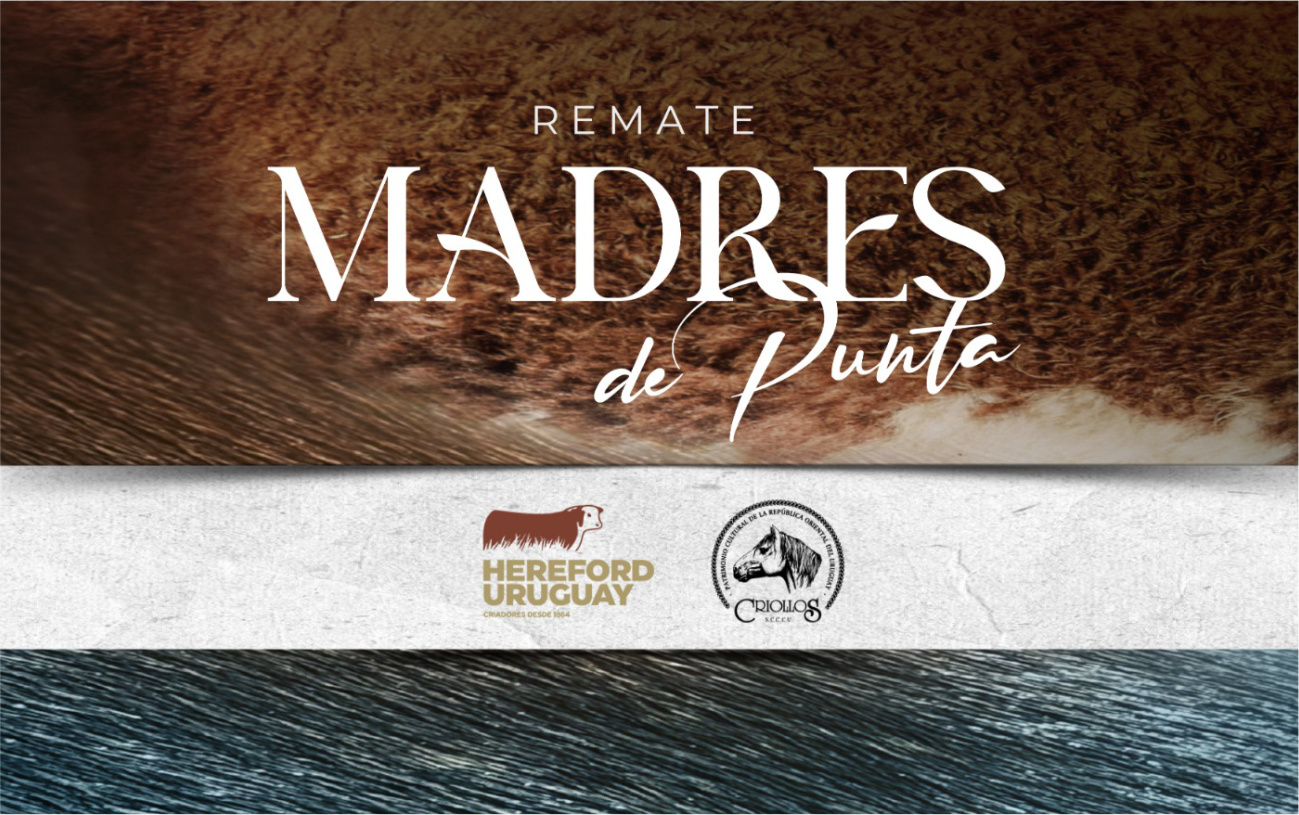 evento_destacado_madresdepunta-300x188